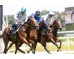  Carrera: P.Valderas Monta: V.Janacek Caballo: Octans